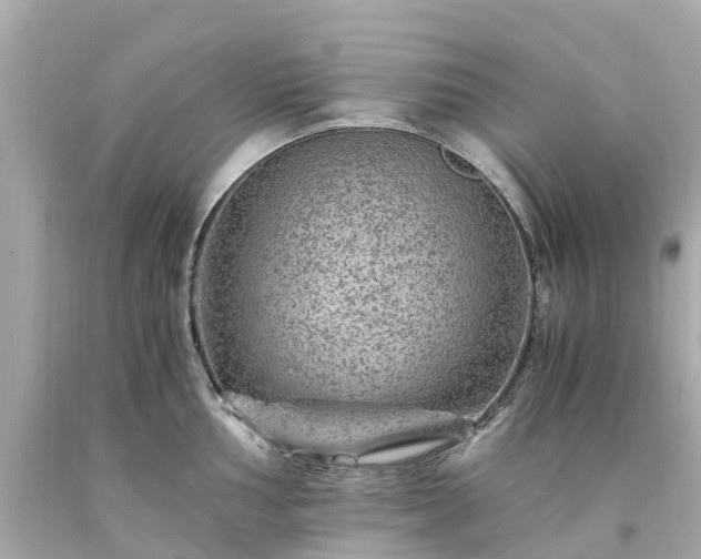 X0000094181002200711021001