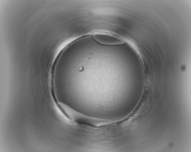 X0000094181003200711021001