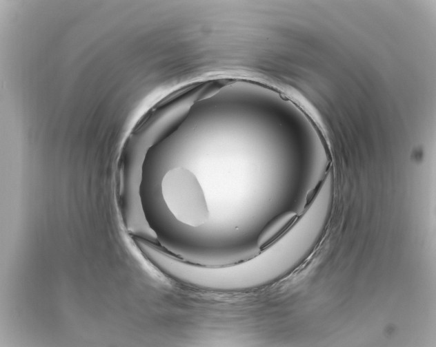 X0000094181005200711021001