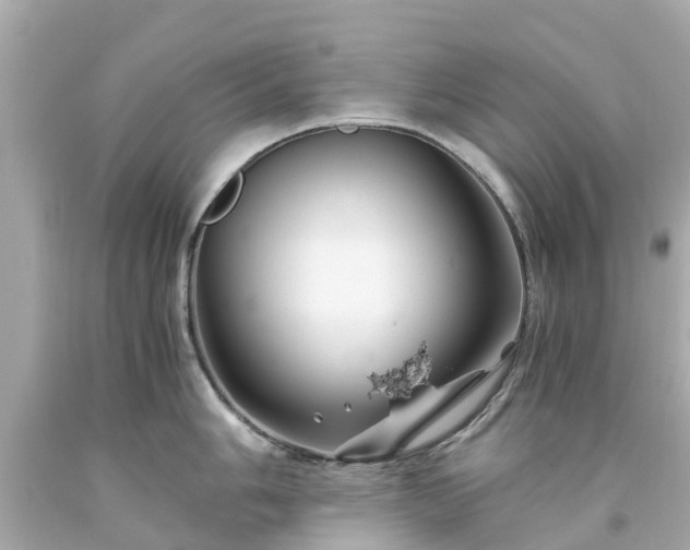 X0000094181006200711021001
