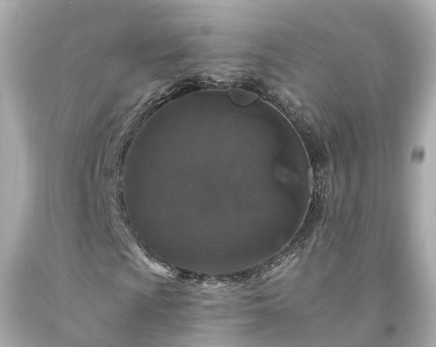 X0000094181009200711021000