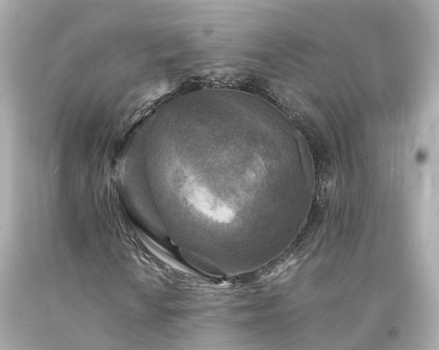 X0000094181010200711021000