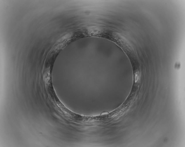 X0000094181011200711021000