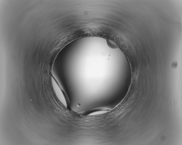 X0000094181012200711021000