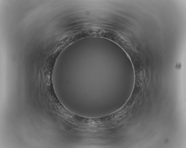 X0000094181013200711021000