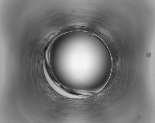 X0000094181014200711021000