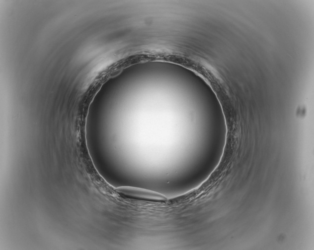 X0000094181016200711021000