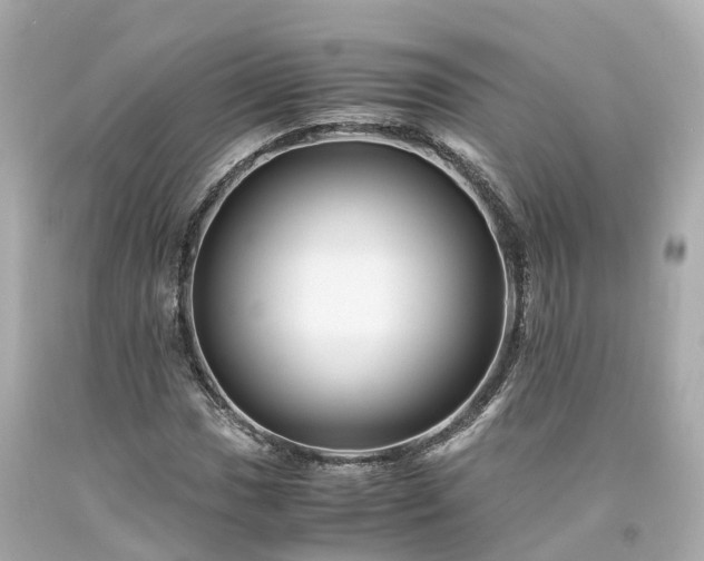 X0000094181017200711021000