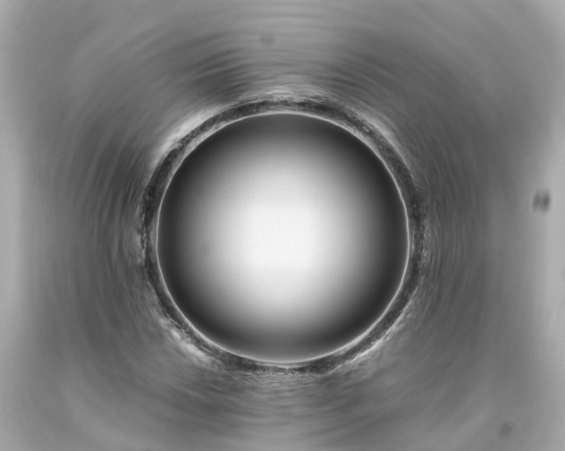 X0000094181018200711021000