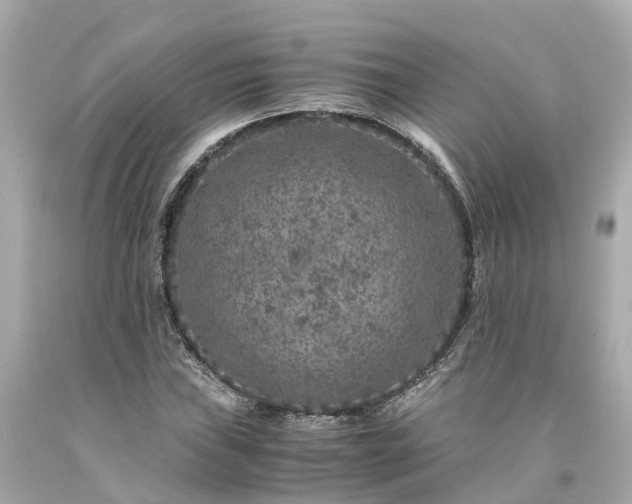 X0000094181019200711021000