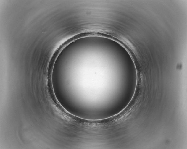 X0000094181020200711021000