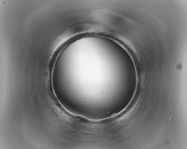 X0000094181021200711021000