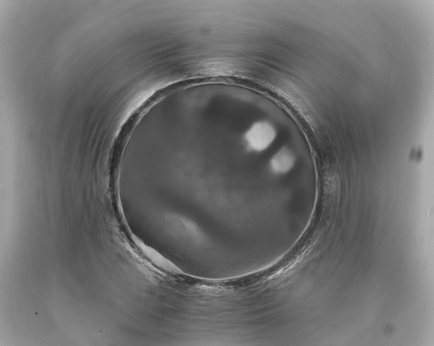 X0000094181023200711021000