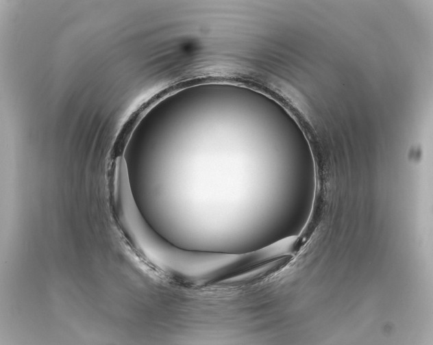 X0000094181026200711021000
