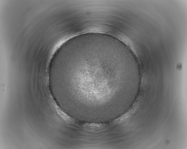 X0000094181027200711021000