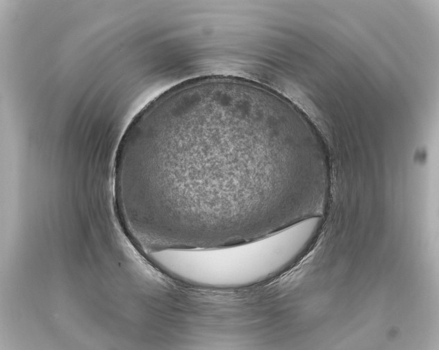 X0000094181028200711021000