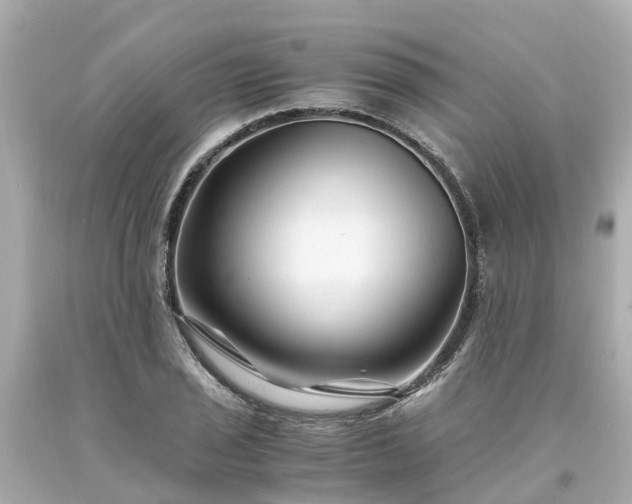 X0000094181029200711021000