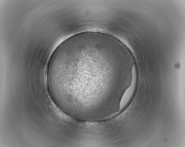 X0000094181032200711021000