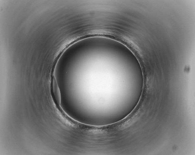 X0000094181033200711021000