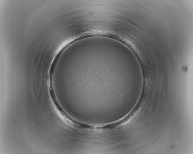 X0000094181034200711021000