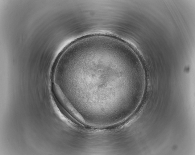 X0000094181038200711021000