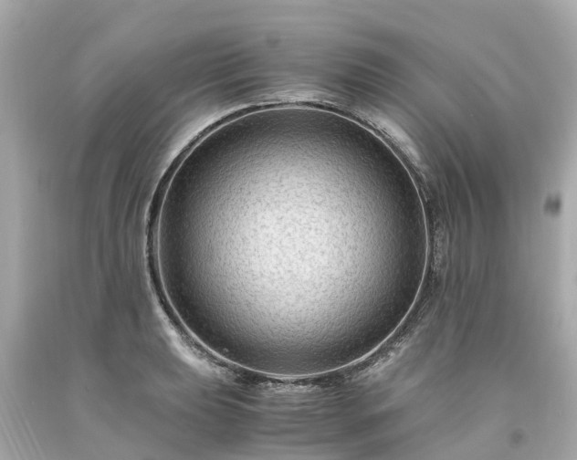 X0000094181039200711021000