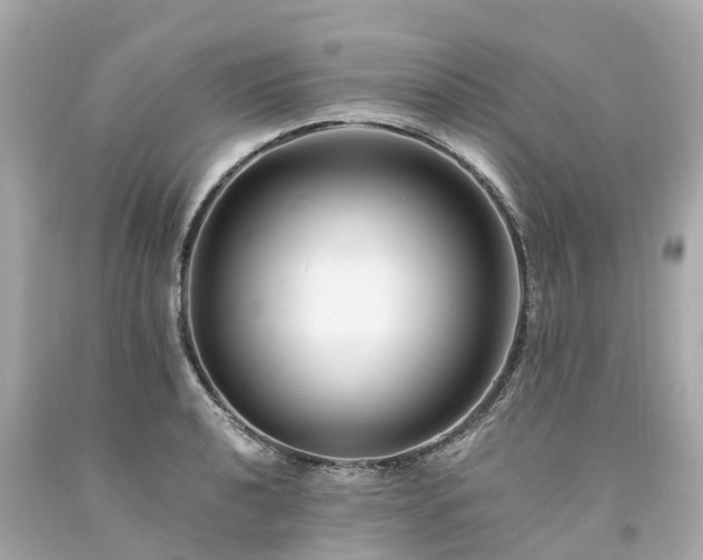 X0000094181040200711021000