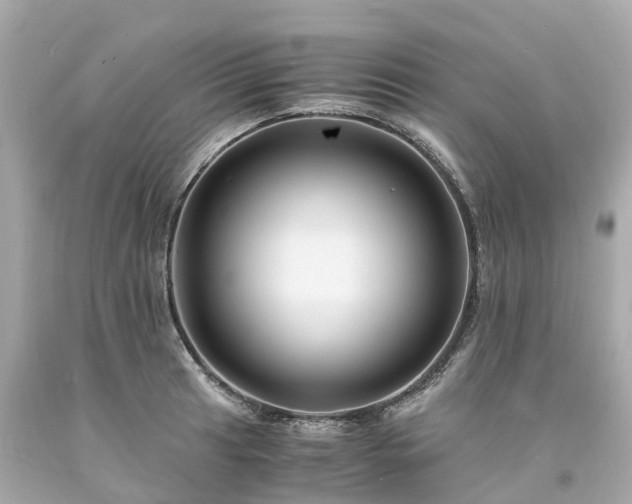 X0000094181041200711021000