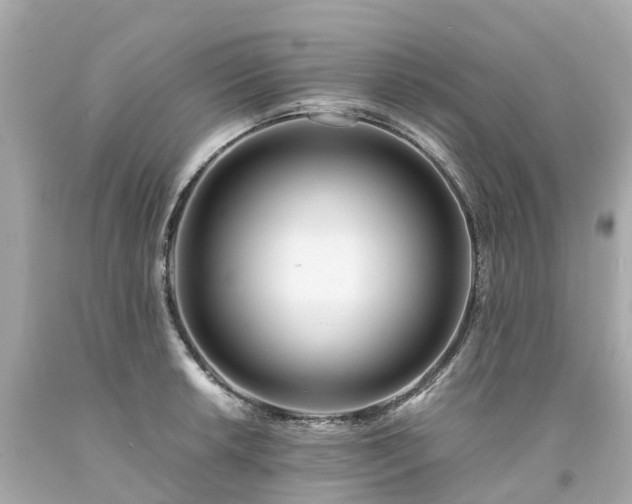 X0000094181042200711021000