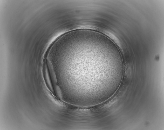 X0000094181043200711021000