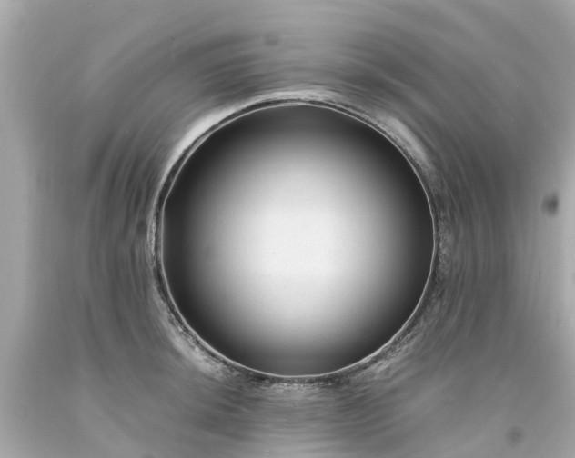 X0000094181044200711021000