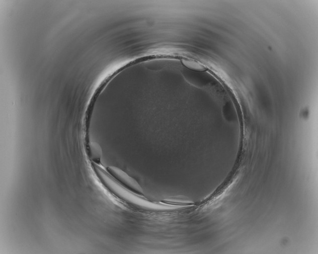 X0000094181045200711021000