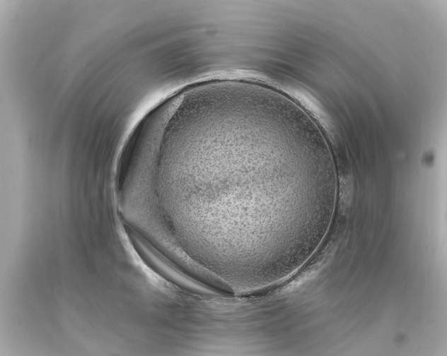 X0000094181046200711021000