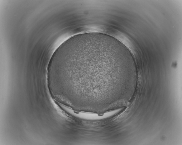 X0000094181047200711021000