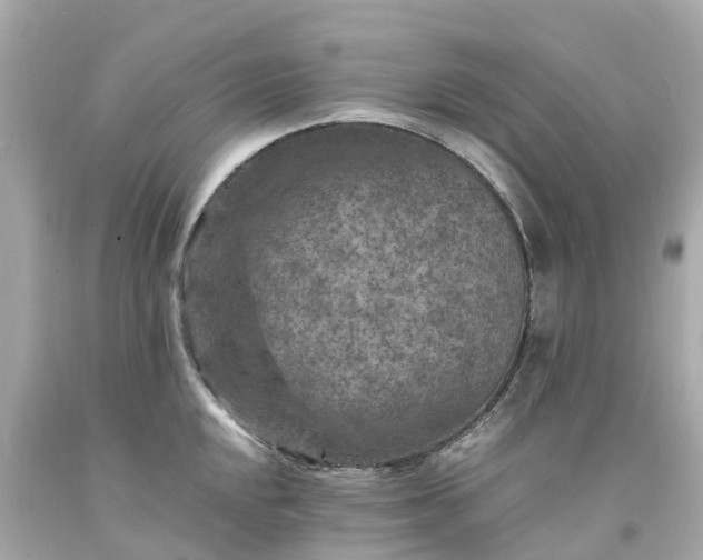 X0000094181048200711021000