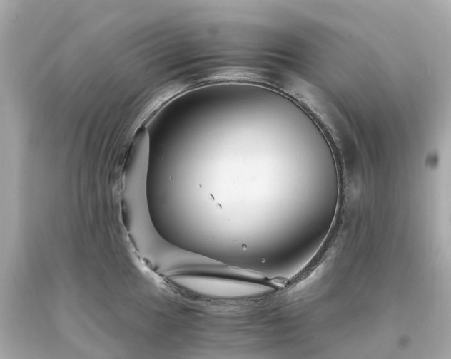 X0000094181049200711021001