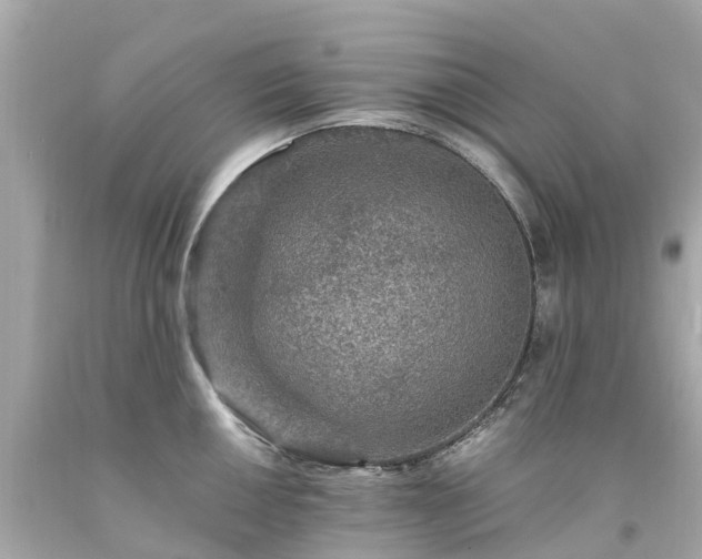 X0000094181050200711021001
