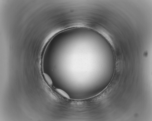 X0000094181051200711021001