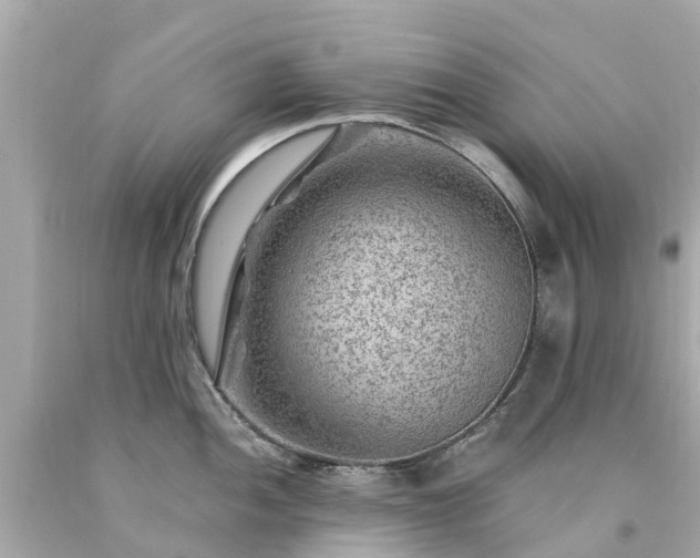 X0000094181052200711021001