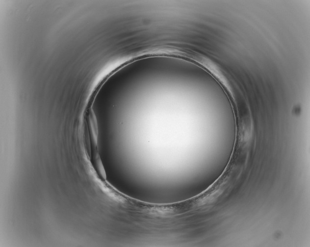 X0000094181053200711021001
