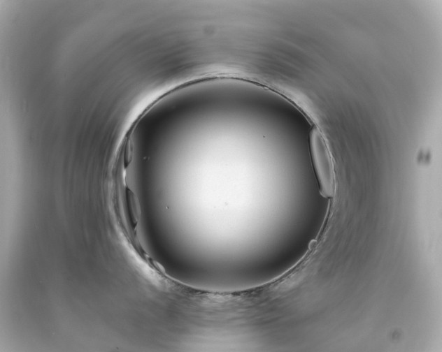 X0000094181056200711021001
