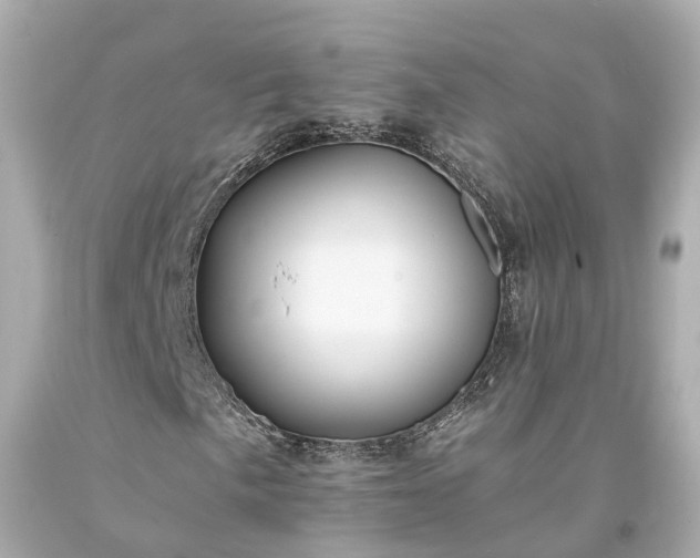 X0000094181057200711021000