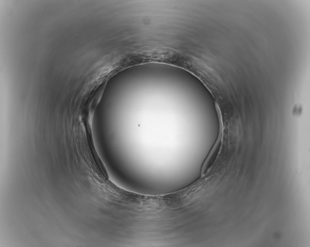 X0000094181058200711021000