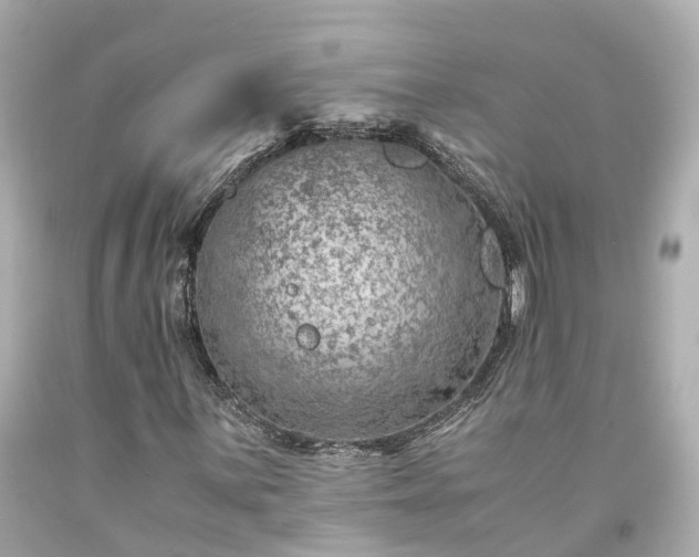 X0000094181059200711021000