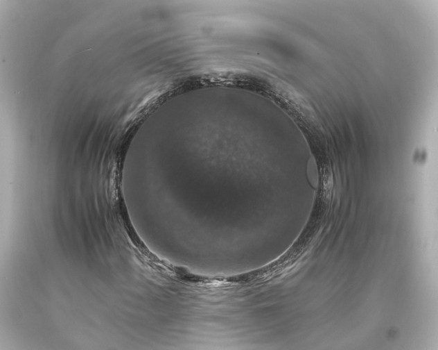 X0000094181060200711021000