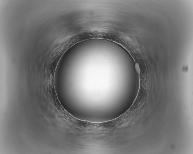 X0000094181061200711021000