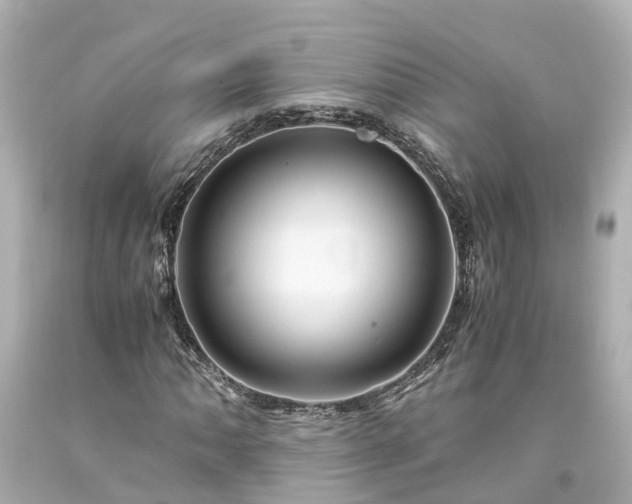 X0000094181062200711021000