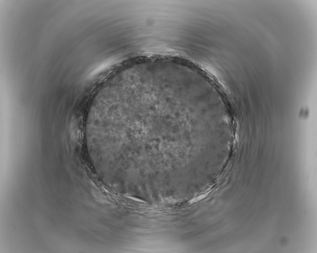X0000094181063200711021000