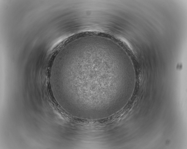 X0000094181064200711021000