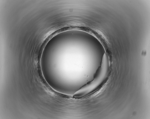 X0000094181065200711021000